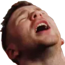 foxBASS foxBASS