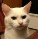 emoji_33 emoji_33