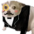 SirConcern