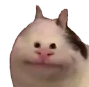 bruh bruh