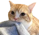 catThief Discord Emoji
