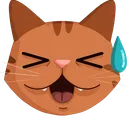 Cat Sweat catsweat Discord Emoji