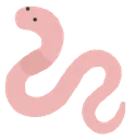 worm