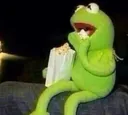 amusedkermit amusedkermit