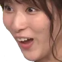 Anchamp
