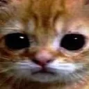 pain