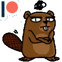 beavs