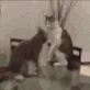 CE_ChokeSlam CE_ChokeSlam