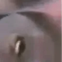 PogFish2