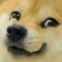 Happydoge happydoge Discord Emoji