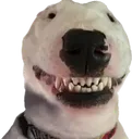 waltersmile