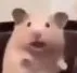 HamsterScared Discord Emoji