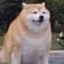 Happy Doggo happydoggo Discord Emoji