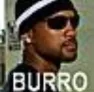 burro