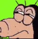 rgbsus