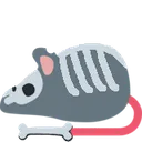 rat_skeleton