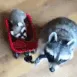 CE_VroomVroomRaccoon CE_VroomVroomRaccoon