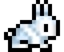 bunni