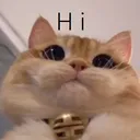 D2S_C_hi