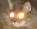 catAtreyu catAtreyu