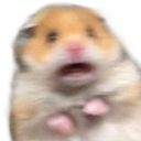 hamster_scary1 Discord emoji