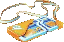 raid