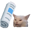 Bad Cat Discord Emoji