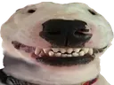 happywalter