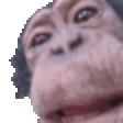 664673637529288725