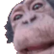 664673637529288725