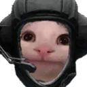 tankcat tankcat