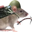 mrdrak2Rat