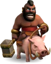 hog1_coc