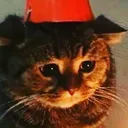 sadcat Discord Emoji