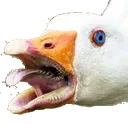 AngryGoose