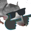 ratcool