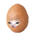 eggcat