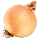onion