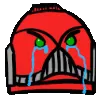 cri cri