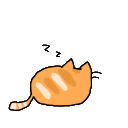 zzzzz