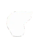 foxtailwhite