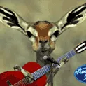 deeramericanidol