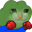 pepecatfight