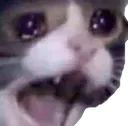 crycat