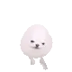 ED_eggdogjitterAAAAA ED_eggdogjitterAAAAA
