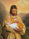 MYLITTLEFOX
