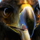 EAGLE Discord emoji