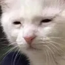 pain