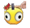 bonk