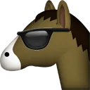 coolhorse